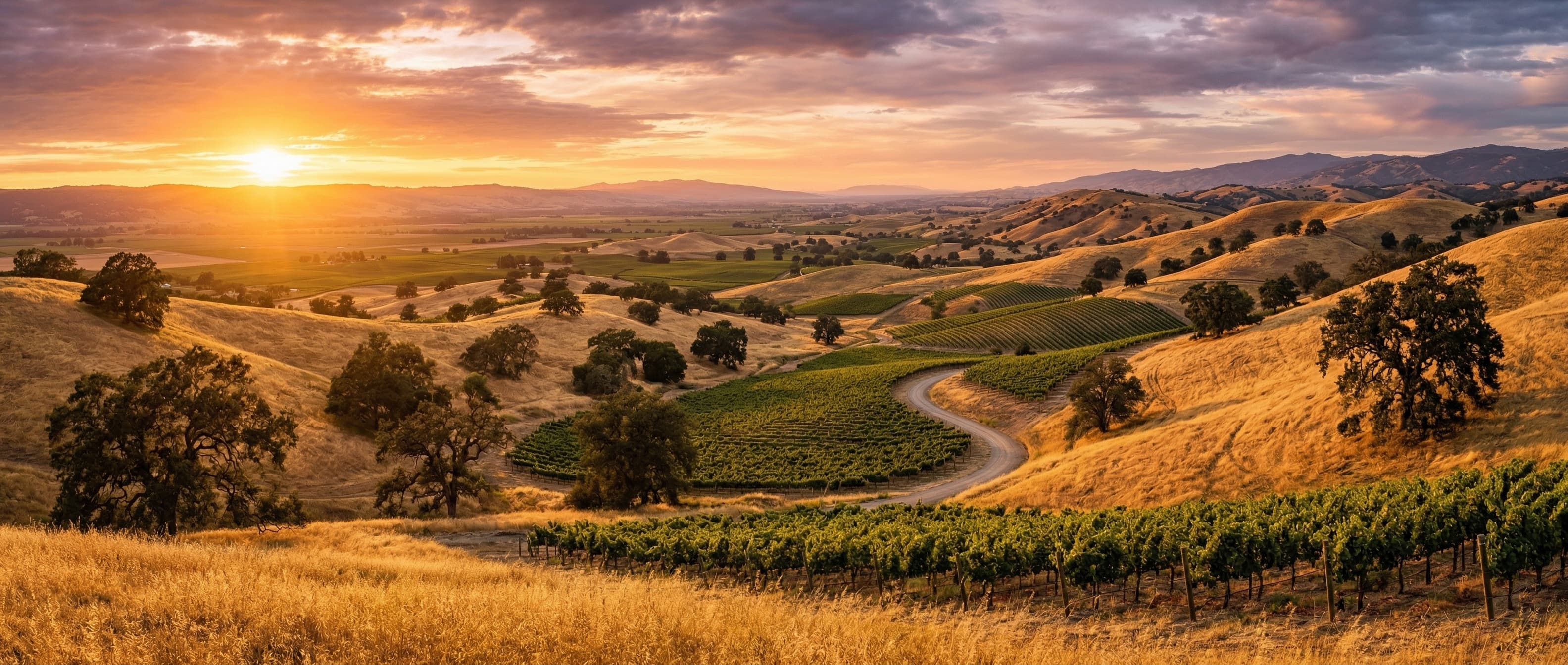 California hills at sunset